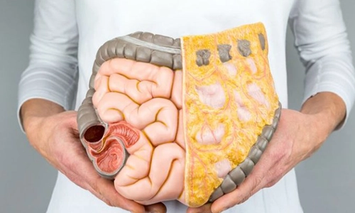 Rektum Kanseri Nedir? Tedavisi, Ameliyatı ve Cerrahisi