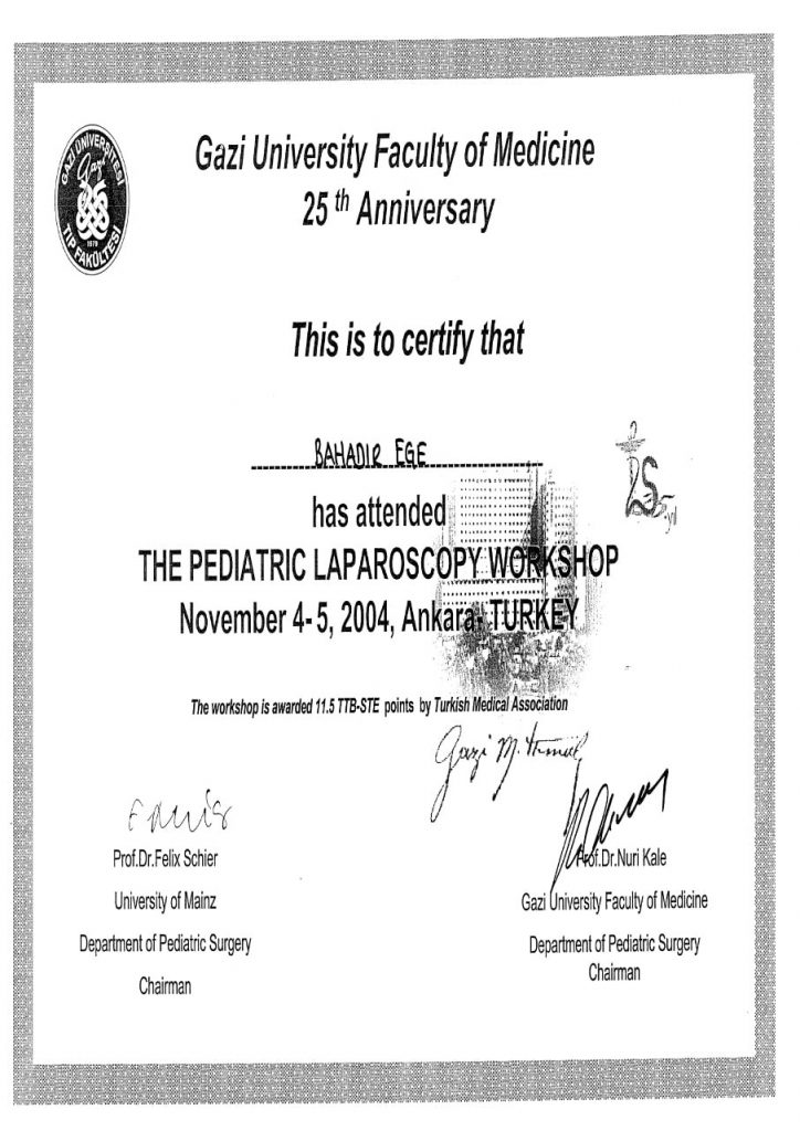 The Pediatric Laparoscopy Workshop