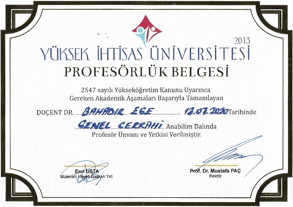 Profesörlük Belgesi